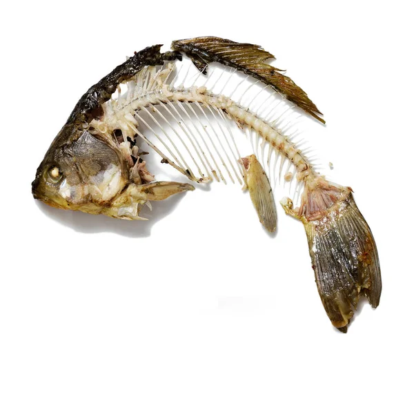 Σκελετός Ψαριού Που Φαγώθηκε Περισσεύματα Φαγητού Κοπή Οστού Κυπρίνου Λευκό — Φωτογραφία Αρχείου