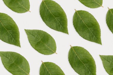 Beyaz kağıtta yeşil kalp şeklinde yaprak deseni var. Doğayı seviyorum. Ekoloji, çevre, doğal ve sağlıklı yaşam teması.