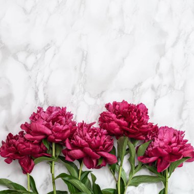 Mermer taş masada kırmızı şakayık çiçekleri ve fotokopi alanı. Doğal yaz çiçekleri en güzel manzaraya sahiptir. Çiçekli tatil geçmişi.