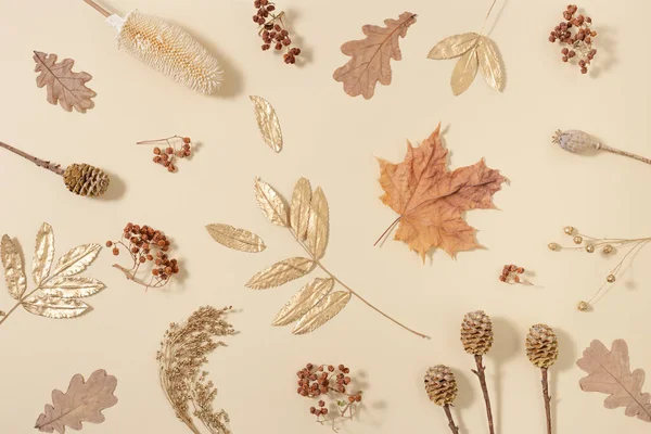 黄色と金色の秋の葉を持つ秋のパターン 自然なドライベリー 中性ベージュの背景にコーン 秋の時間概念 フラットレイアウト トップビュー — ストック写真
