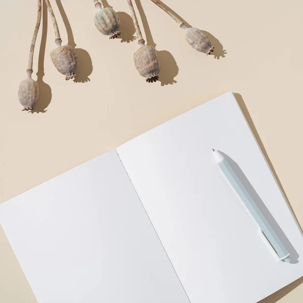 Vista Superior Cuaderno Abierto Con Páginas Blanco Plat Amapola Seca —  Fotos de Stock