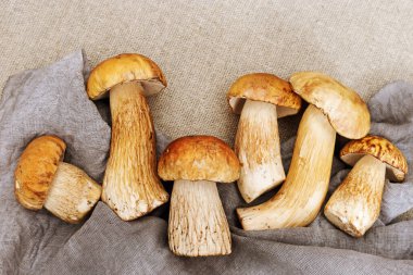 Sefer mantarlarıyla dolu bir sonbahar. Taze boletus edulis mutfakta. Kopyalama alanı olan yiyecek arkaplanı.