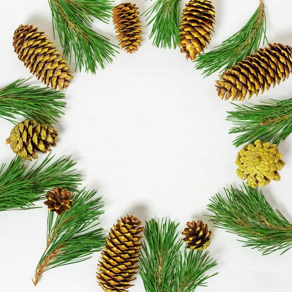 Moldura Natal Ramo Árvore Natal Cones Dourados Fundo Claro Com — Fotografia de Stock