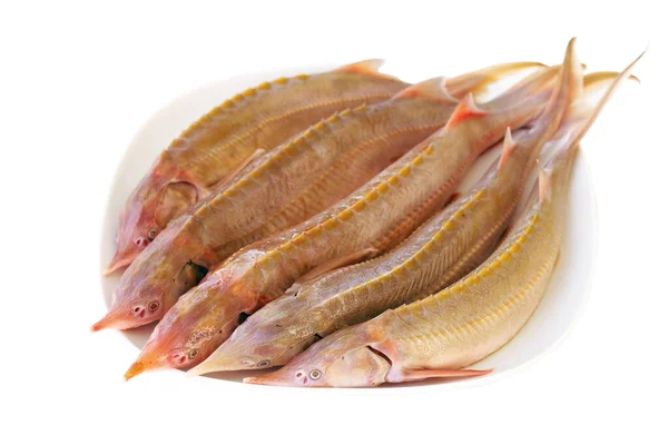 Φρέσκο Ψάρι Οξύρυγχο Λευκό Πιάτο Φρέσκο Φιλέτο Παρασκευασμένο Για Μαγείρεμα — Φωτογραφία Αρχείου