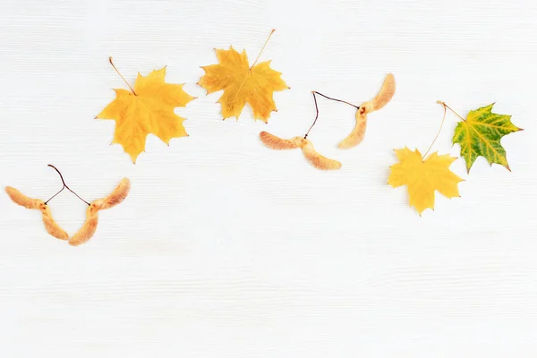 秋のハーバリウム、黄色のカエデの葉と木の表面の種。木の質感の秋のフレーム. — ストック写真