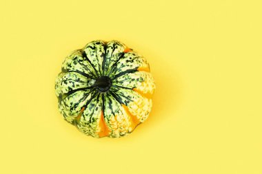 Sarı kağıt üzerinde küçük çizgili balkabağı manzaralı. Kopyalama alanı olan sonbahar arkaplanı. Sonbahar tatili konsepti, sonbahar, hasat, Şükran Günü, Cadılar Bayramı.