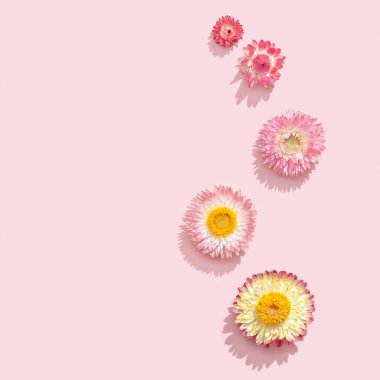 Doğal kuru çiçekler, yumuşak pnik arka planda küçük pembe çiçekler. Çiçek tasarımı, doğal bitkilerle dolu tebrik kartı. Üst manzara, düz uzanma.