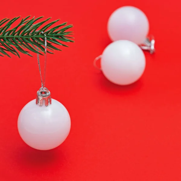 新年玻璃球挂在红色背景的冷杉树枝上 创意的假日圣诞概念 简约风格 — 图库照片