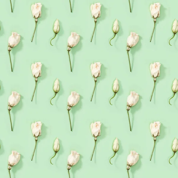 緑の乾燥した白い花の芽を持つシームレスな定期的な創造的なパターン 自然の花の背景 パステルカラー トップビュー フラットレイ — ストック写真