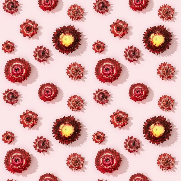 Motif Sans Couture Avec Bourgeon Rapproché Fleurs Rouges Sèches Petites — Photo