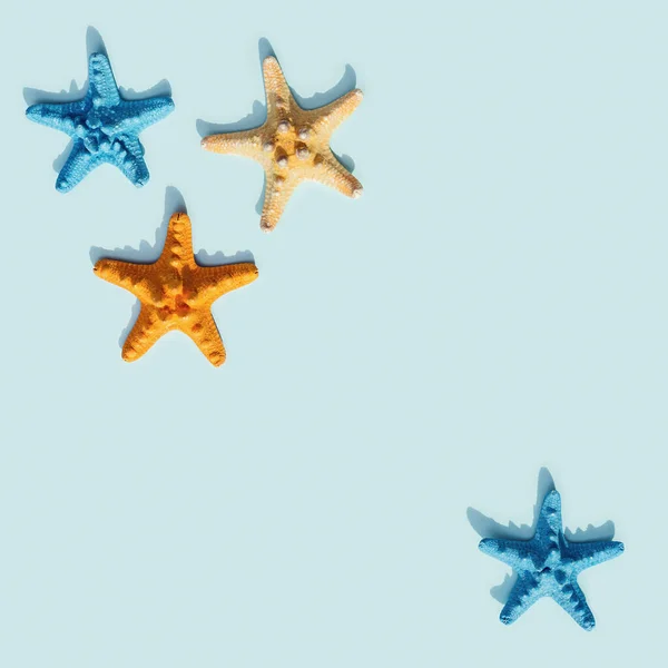 Nautic Scene Colorful Sea Stars Blue Background Happy Bright Summer — Stock Photo, Image