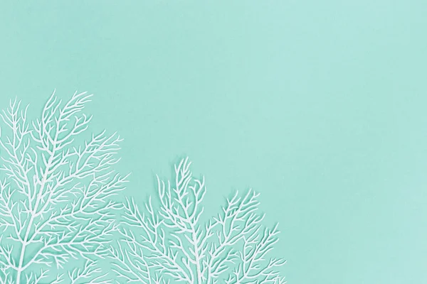 Pastel Renkli Arkaplan Turkuaz Renkli Kağıtta Beyaz Mercan Fotokopi Alanı — Stok fotoğraf