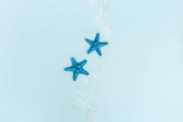 Verano Plano Yacía Con Estrellas Mar Coral Blanco Sobre Fondo —  Fotos de Stock
