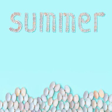 Yazın mavi kağıda benzer küçük doğal deniz kabukları seriliyordu. Deniz kabuğu renginde yaz tasarımı kavramı.