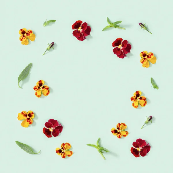 Frame Természetes Virágos Virágok Szívsease Friss Levelek Világoszöld Háttérrel Másolás — Stock Fotó