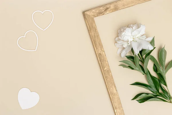 White peony and small hearts minimal pastel greeting card. Fresh fragrant peony flowers and vintage wooden frame