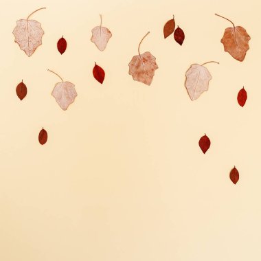 Tarafsız bej arka planda kırmızı ve kahverengi sonbahar yapraklı sonbahar kompozisyonu ve fotokopi alanı. Sonbahar konsepti. Düz yatış, üst görünüm.