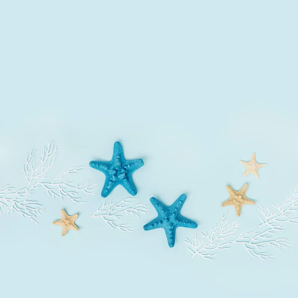 Modrém Pozadí Ležela Letní Rovina Hvězdicemi Bílými Korály Letní Nebo — Stock fotografie