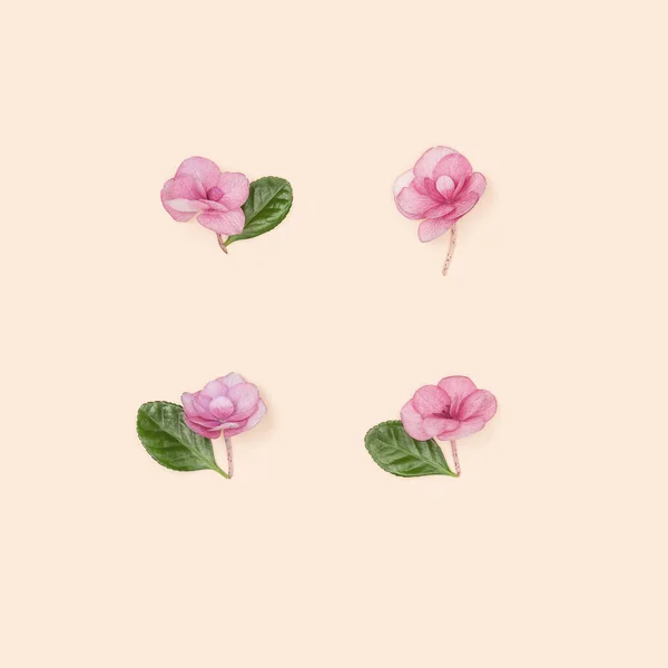 Creative Minimal Flat Lay Small Pink Flowers Millennial Pink Paper — Stock Fotó