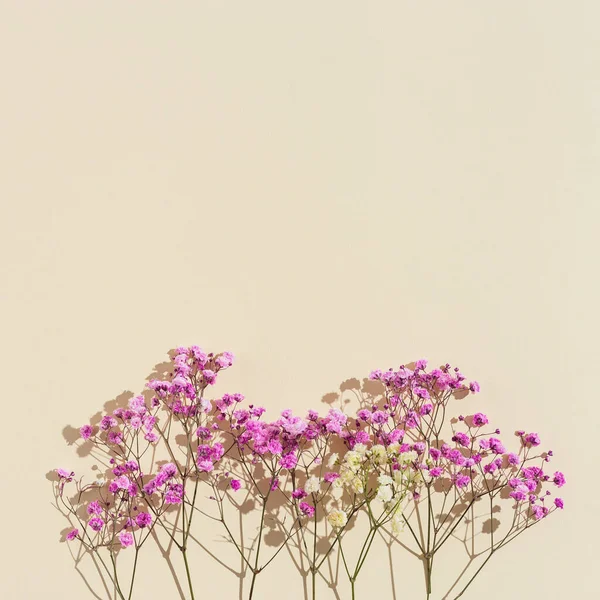 ベージュ色の背景に小さなピンクの花で作られた最小限の自然なレイアウト 陽射しと影のある花の映像 ニュートラルなトーンのパステルモノクロ画像 — ストック写真