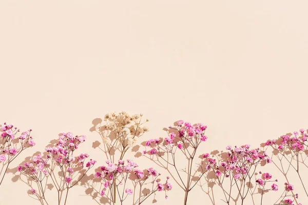 ベージュ色の背景に小さなピンクの花で作られた最小限の自然なレイアウト 陽射しと影のある花の映像 ニュートラルなトーンのパステルモノクロ画像 — ストック写真