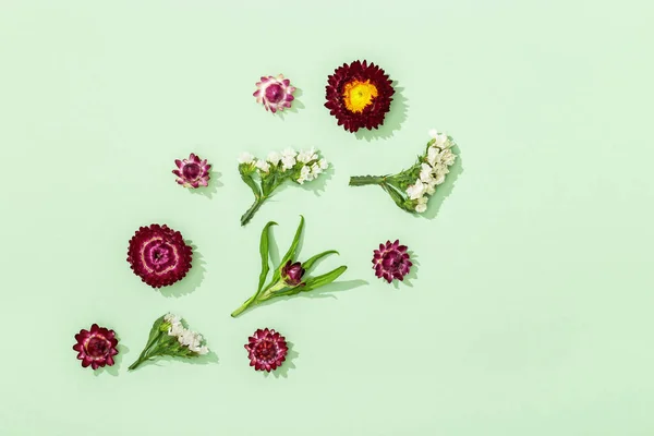 柔らかい緑の背景に自然乾燥したカラフルな花 葉や小さな花 花のデザイン 自然植物とグリーティングカード トップビュー フラットレイアウト — ストック写真