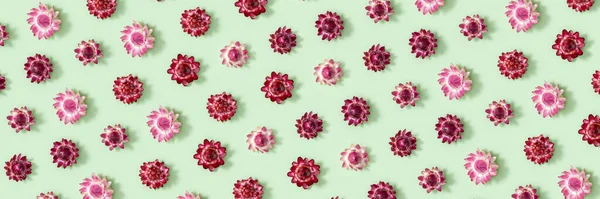 ドライフラワーのクローズアップ芽 緑の上の小さな花のパターン 天然の花のバナー パステルカラー トップビュー フラットレイ — ストック写真