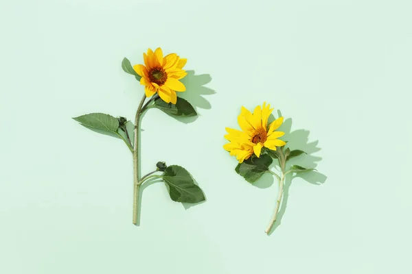 Sárga Napraforgók Felülről Nézve Fényes Őszi Virágzó Virágok Fénymásoló Hellyel — Stock Fotó