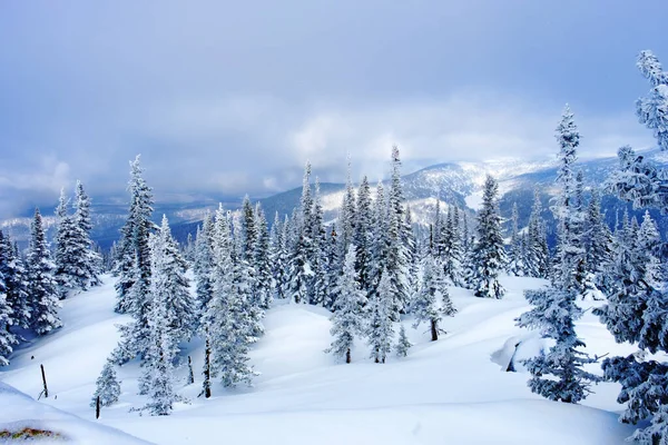 Vista Estación Esquí Sheregesh Desde Montaña Utya Deriva Nieve Árboles —  Fotos de Stock