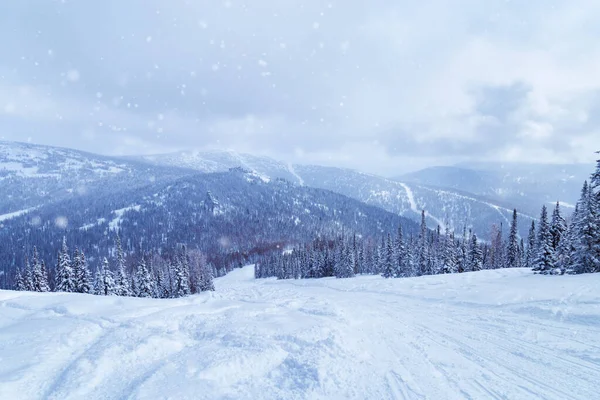 Pistas Esquí Nevadas Abetos Nieve Esponjosa Cielo Las Nubes Paisaje —  Fotos de Stock