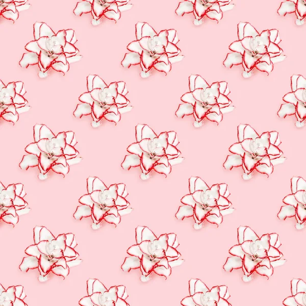 Seamless Pattern White Lily Flowers Red Border Peony Lily Pink — Stock Photo, Image