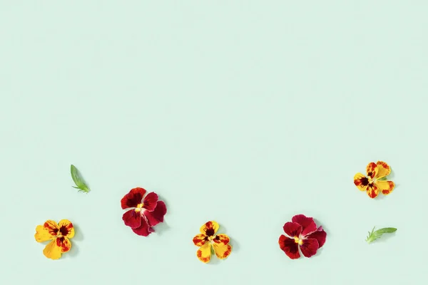 Modern Virágos Háttér Sárga Piros Árvácska Virágok Kis Zöld Levelek — Stock Fotó