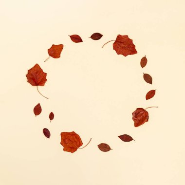 Renkli sonbahar yapraklarından kopyalanmış bej arka planda sonbahar yuvarlak çerçevesi. Sonbahar konsepti. Düz yatış, üst görünüm.