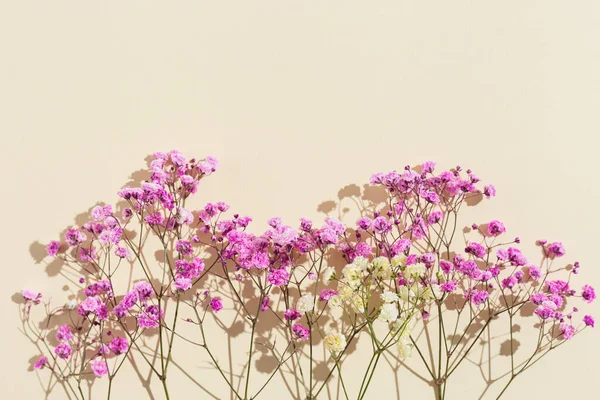 ベージュ色の紙に小さなピンクの花を閉じます 花の背景 中性色とコピースペースと最小限のスタイルの審美的な写真 — ストック写真