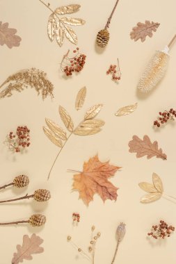 Sarı ve altın sonbahar yapraklı sonbahar yerleşimi, doğal kuru böğürtlen, haşhaş, doğal bej arka planda koni. Sonbahar sezonu, sonbahar şablonu. Düz yatış, üst görünüm.