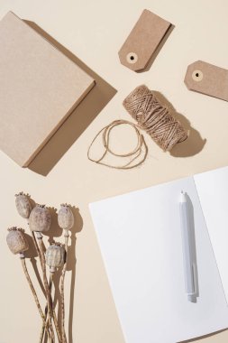 Yukarıdan boş sayfaları olan açık defterli bir masa görüntüsü ve doğal sonbahar bitkisi haşhaşı süslenmiş el işi karton kutu. Kopyalama alanı ile sonbahar konsepti.