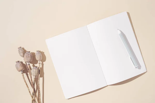 Vista Escritorio Desde Arriba Con Cuaderno Abierto Con Páginas Blanco —  Fotos de Stock