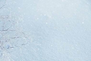Kuru çayır çiçekleri ve kış tarlasında buzla kaplı çimenler. Soğuk kış günlerinde, uzun gölgeler ve yağan karlarla birlikte doğa..