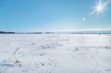 Kış manzarası karla kaplı ve açık mavi gökyüzü, buzla kaplı çimenler, güneşte parlayan beyaz kar. Güzel kış doğası geçmişi.