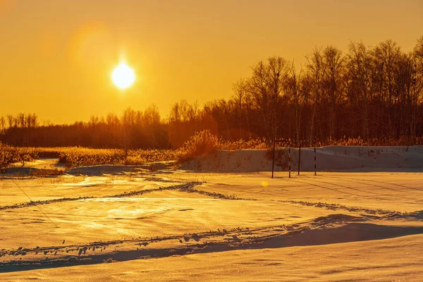 Winter sunset landscape with snow-covered field and bright glare from sun, grass covered with frost, white snow sparkles in sun. Beautiful winter nature view.