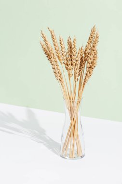 Pastel yeşil ve beyaz arka planda altın boyalı buğday başakları. Doğanın elementleri şeffaf cam vazoda. Doğal ışık ile Isome