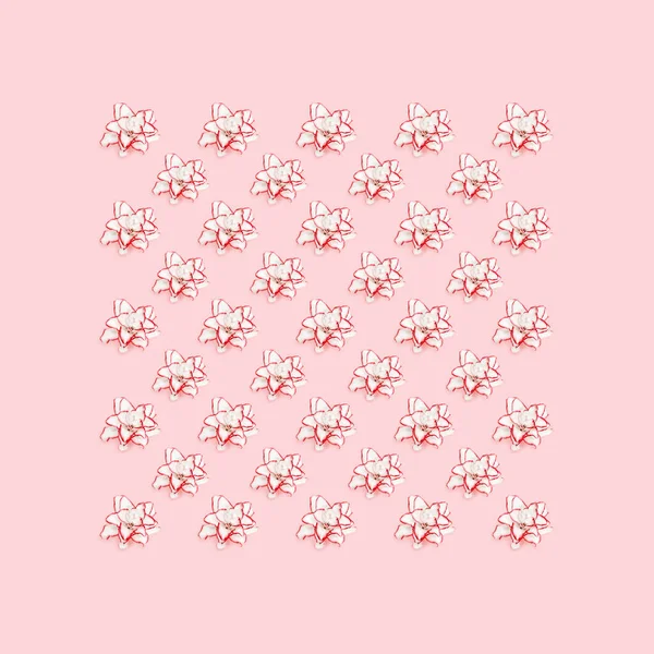 Цветочный Узор Белыми Лиловыми Пионами Натуральные Цветы Красной Окантовкой Розовом — стоковое фото