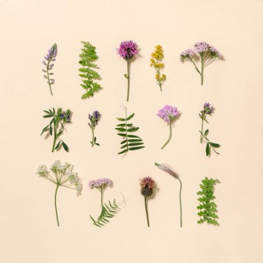 Doğal yaz kompozisyonu yabani çiçeklerden ve pastel bej arka plandaki çimlerden. Çayır, tarla ve orman çiçek açıyor ve yeşil planlar. Estetik çevre ya da doğa konsepti. Yukarıdan görüntüle