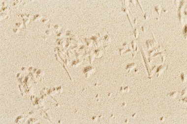 Kum arka planında kuru çimlerin izleri ve gölgeleri. Yaz asgari uyum, denge, rahatlama kavramı. Üst görünüm ve kopyalama alanı.