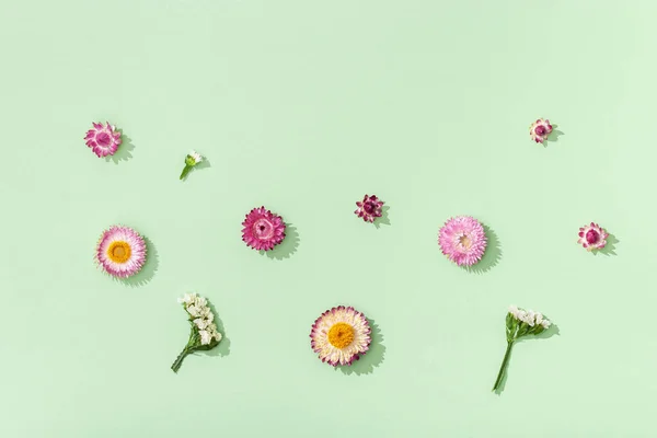 ドライカラフルな花のクローズアップ芽 緑の上の小さな花 コピースペース付きの自然な花の背景 パステルカラー トップビュー フラットレイ — ストック写真