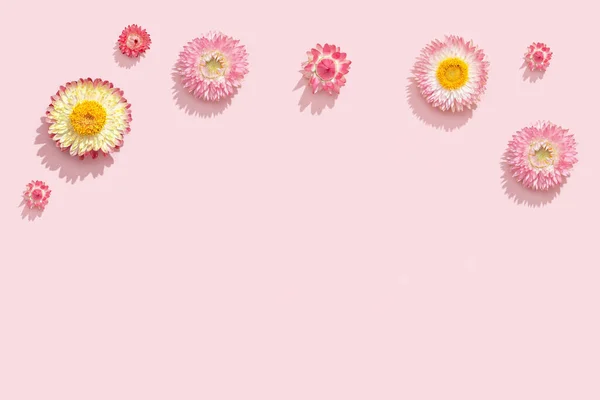 乾燥した花 ピンクの花 ハーバリウムを閉じます 自然の花模様 パステルカラー 抽象的な自然 — ストック写真