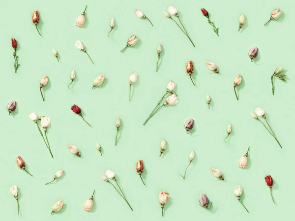多くの乾燥したカラフルな花から創造的なパターン柔らかい緑の上にユースタシア 自然や環境の概念 トップビュー フラットレイアウト — ストック写真