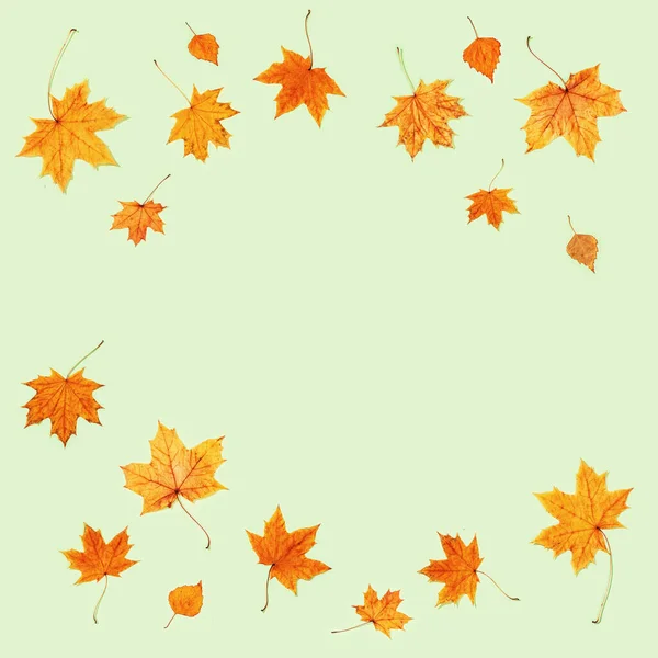 Vzor Suchých Podzimních Listů Víří Podzimní Rám Pohled Shora — Stock fotografie