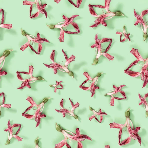 柔らかい緑の天然乾燥赤花Alstroemeriaからシームレスな定期的な創造的なパターン 花のデザイン 自然植物とグリーティングカード トップビュー フラットレイアウト — ストック写真