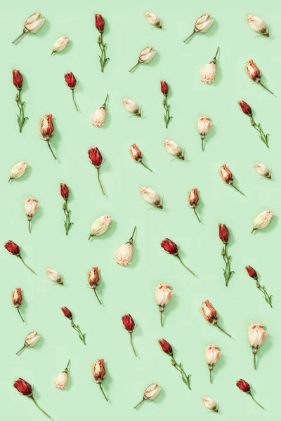 ドライフラワーの芽を持つ創造的なパターン柔らかい緑の上にユースタシア 自然の花飾り パステルカラー — ストック写真